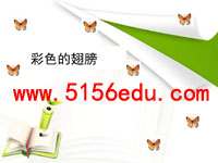 《彩色的翅膀》ppt课件5